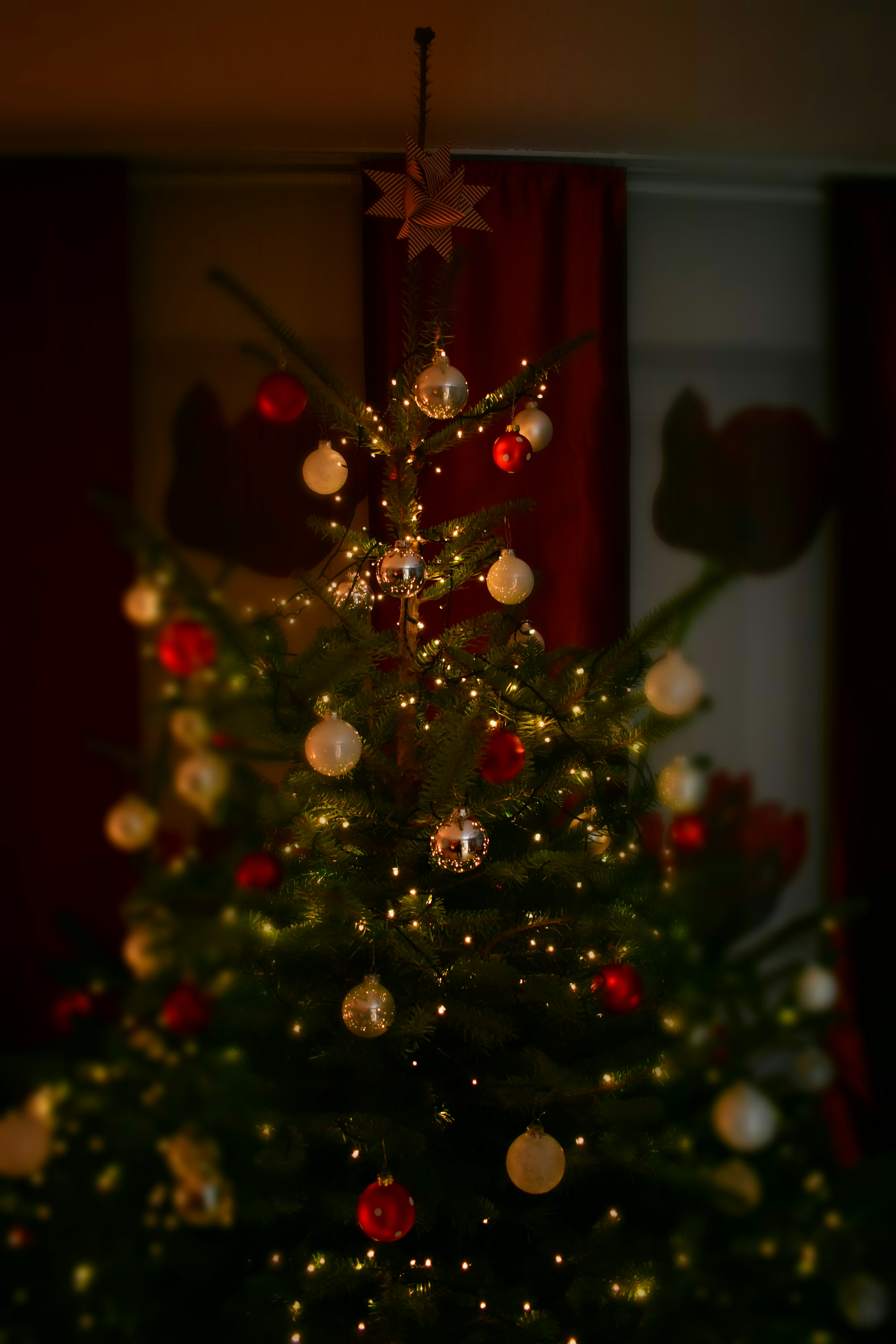 baubles hung on Christmas tree